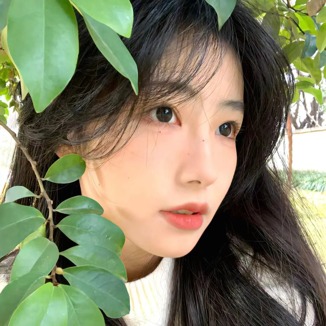 带我去月球